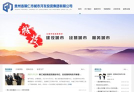 贵阳城市开发投资集团有限公司