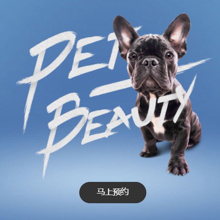 贵阳宠物中心小程序